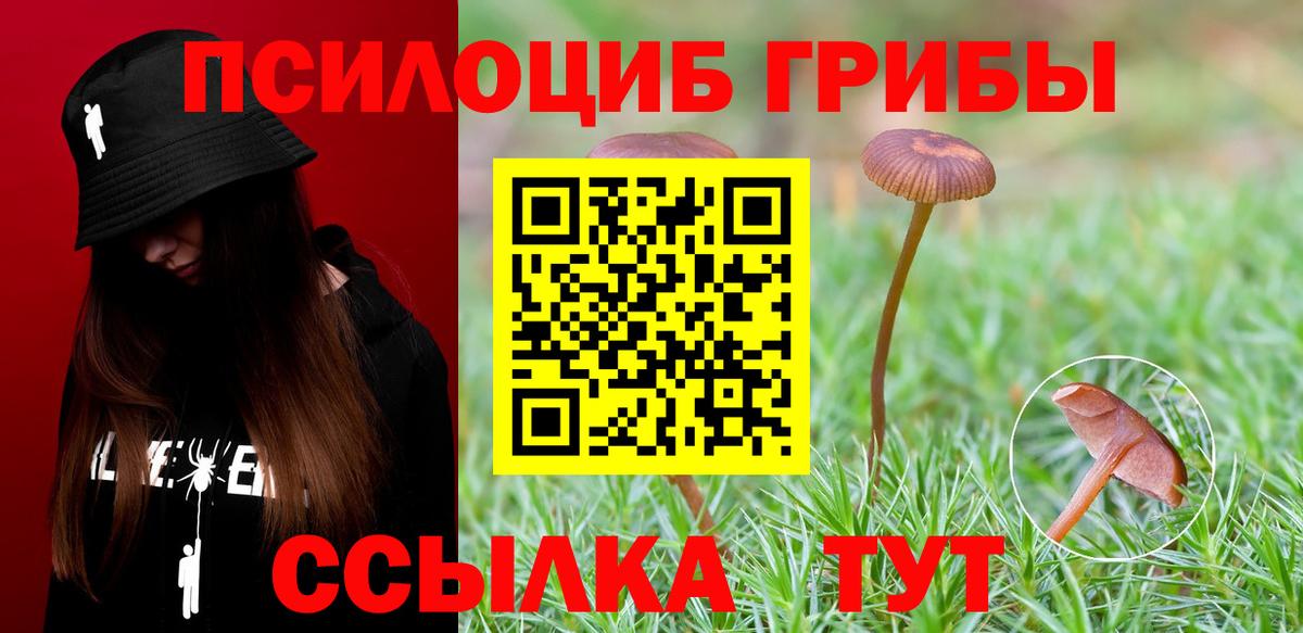 Псилоцибиновые грибы мухоморы Ростов-на-Дону