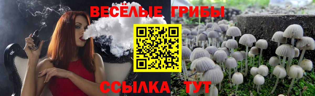 Псилоцибиновые грибы прущие грибы  Вход с VPN  Ростов-на-Дону 